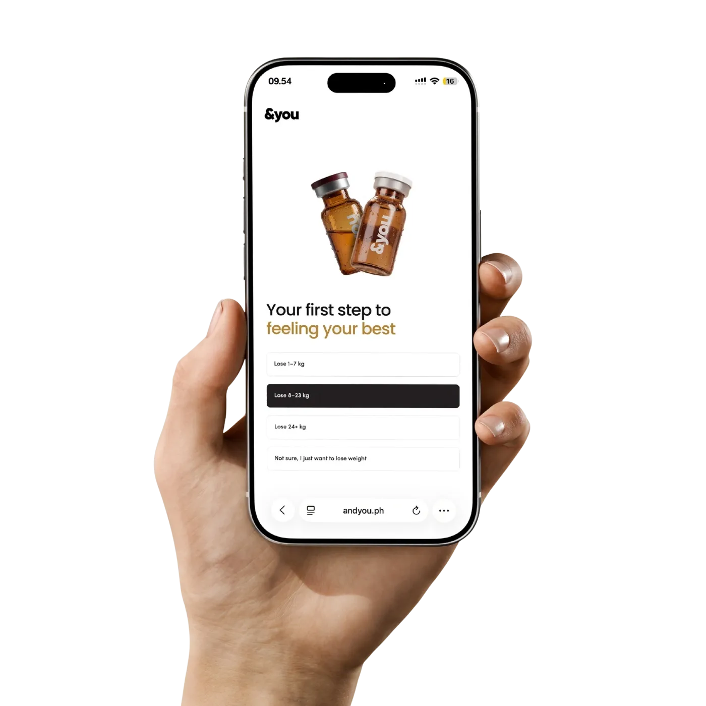 User browsing website intake form