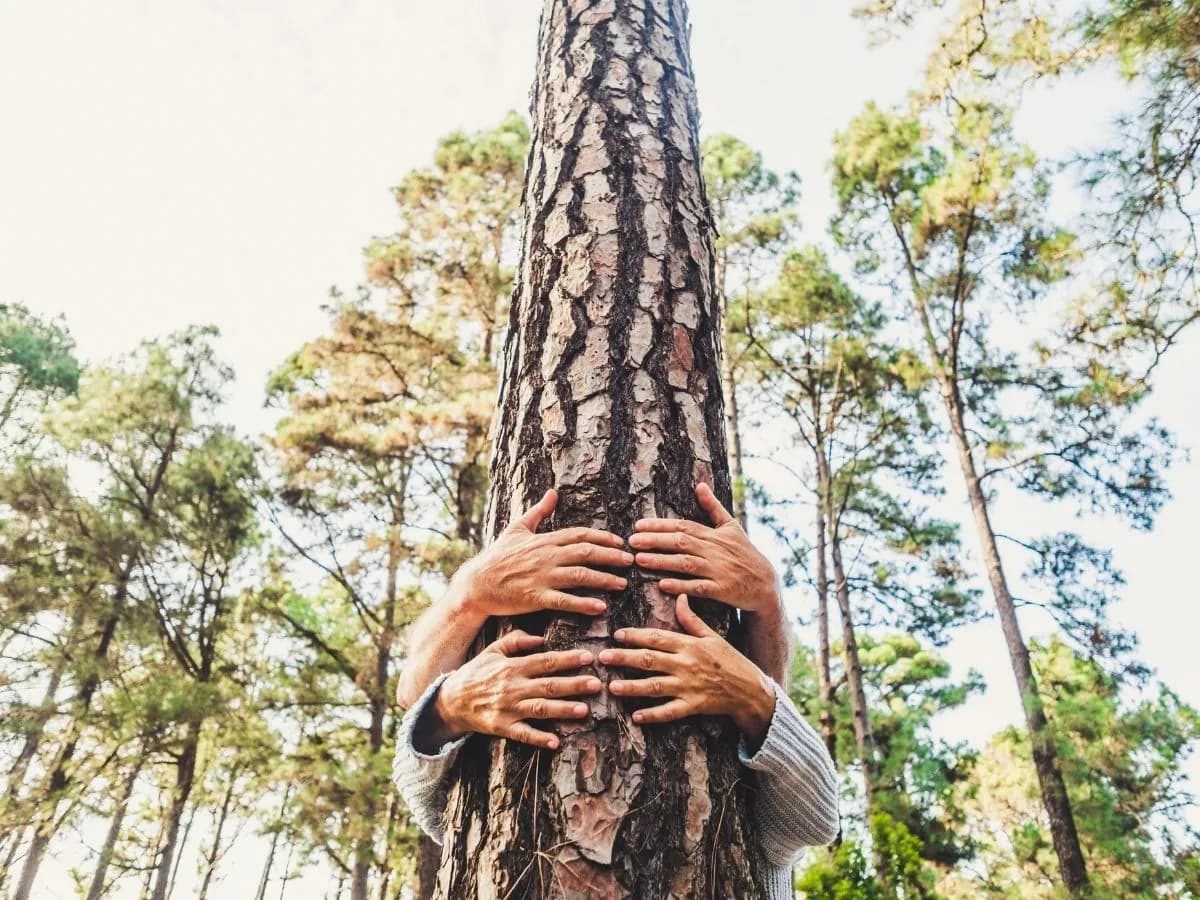 Morning Wood in the Philippines: What It Says About Your Health - andyou.ph